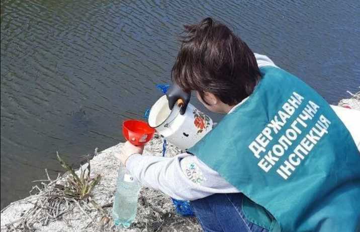 Мор рыбы в урочище "Вырва" Запорожья: в воде обнаружены отклонения от нормы