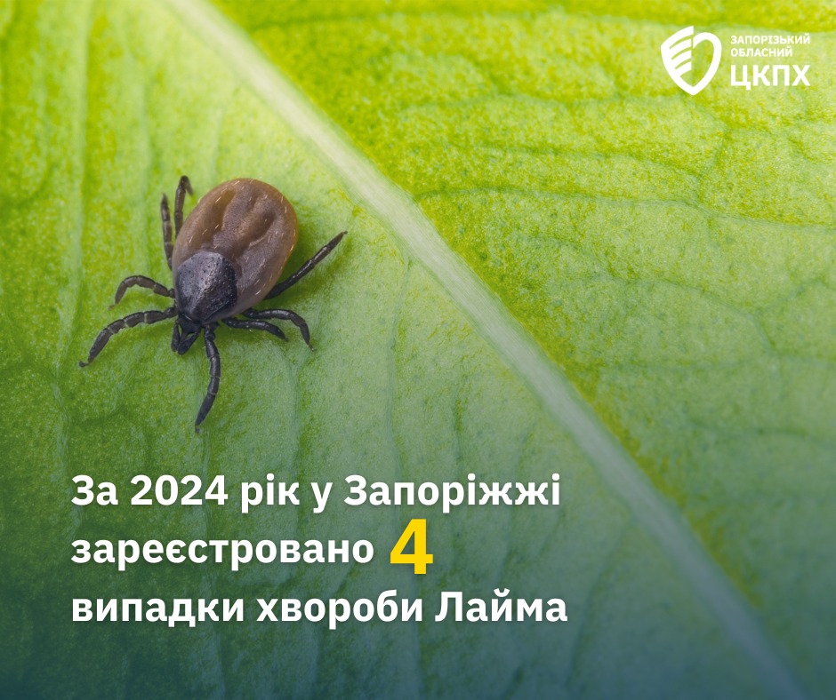 Хвороба може уражати нервову систему та опорно-руховий апарат: в Запоріжжі зафіксовані кілька випадків хвороби Лайма