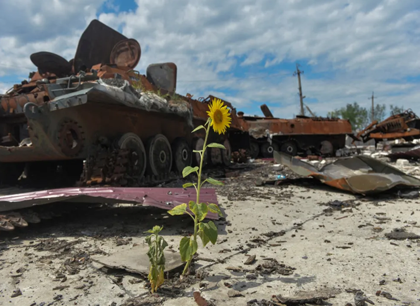 Збитки довкіллю на понад 15,5 млрд грн: наслідки російських ударів по Запорізькій області