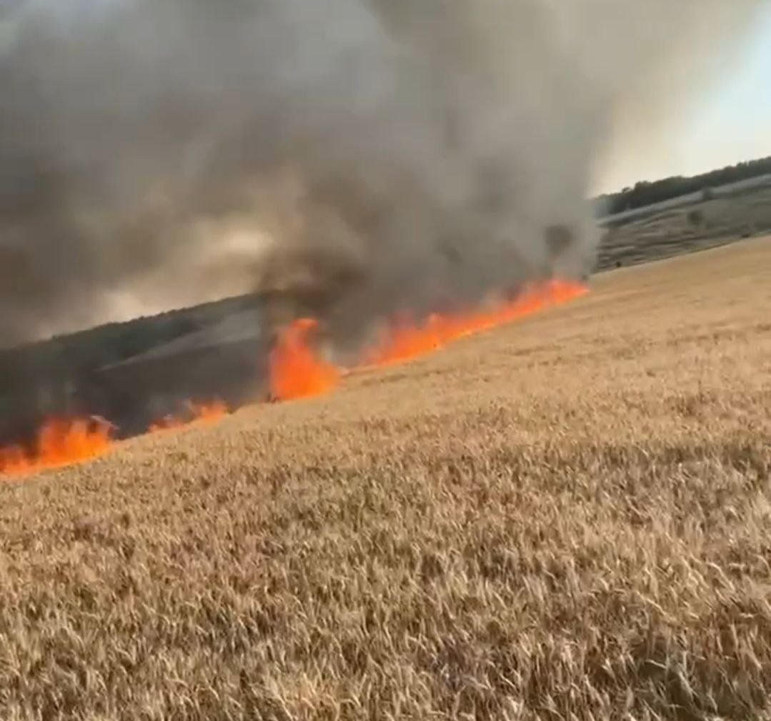 В Пологівському районі внаслідок російських обстрілів згоріло 4 га хліба