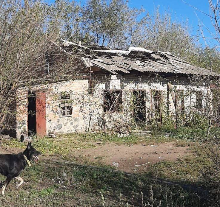 Ворог продовжує гатити з усього виду озброєння по Малій Токмачці та Оріхову
