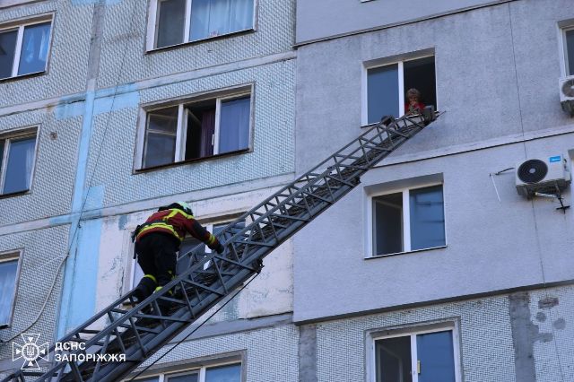 Врятували людей і котика: запорізькі вогнеборці ліквідували масштабну пожежу в багатоповерхівці