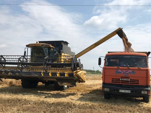 Будемо з хлібом: запорізькі аграрії в надзвичайно важких умовах продовжують вирощувати і збирати врожай