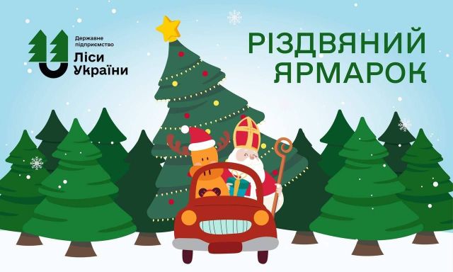 Продаватимуть сосну звичайну та кримську: у Запоріжжі дерева до свята можна придбати за помірну ціну