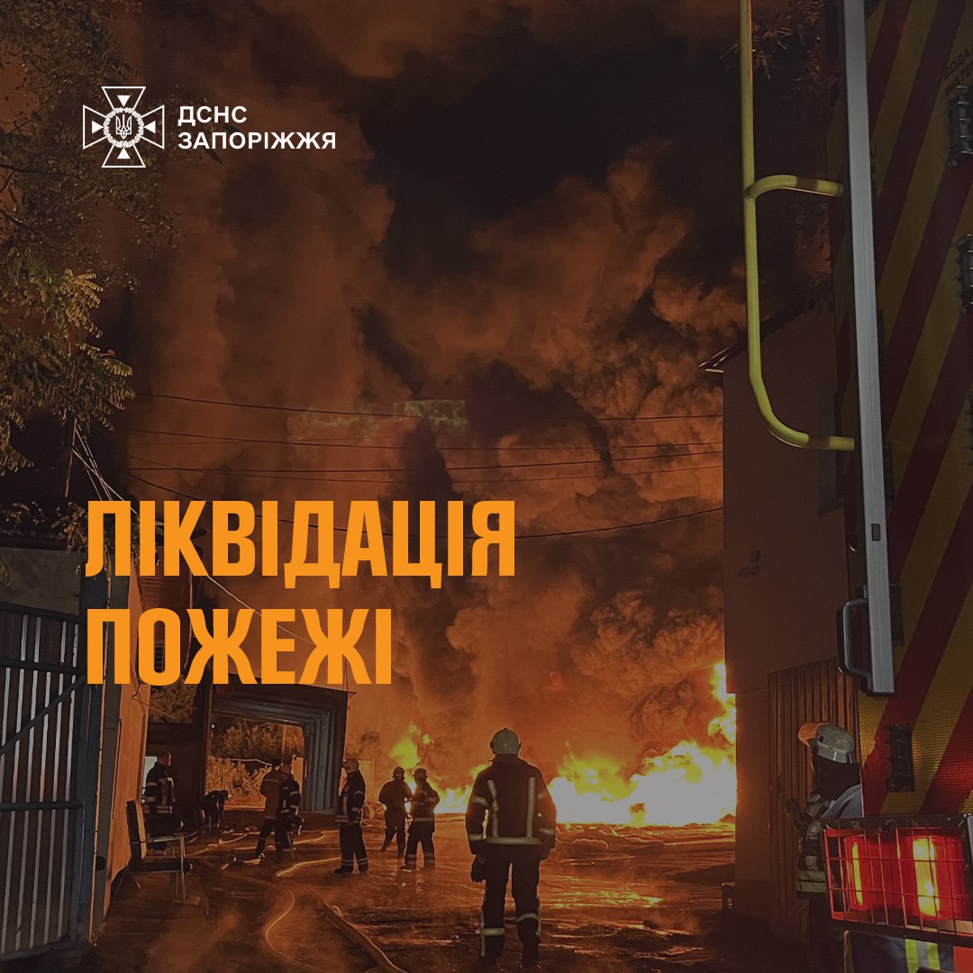 В Запорізькому районі сталася пожежа: у вогні загинули 49 свійських тварин