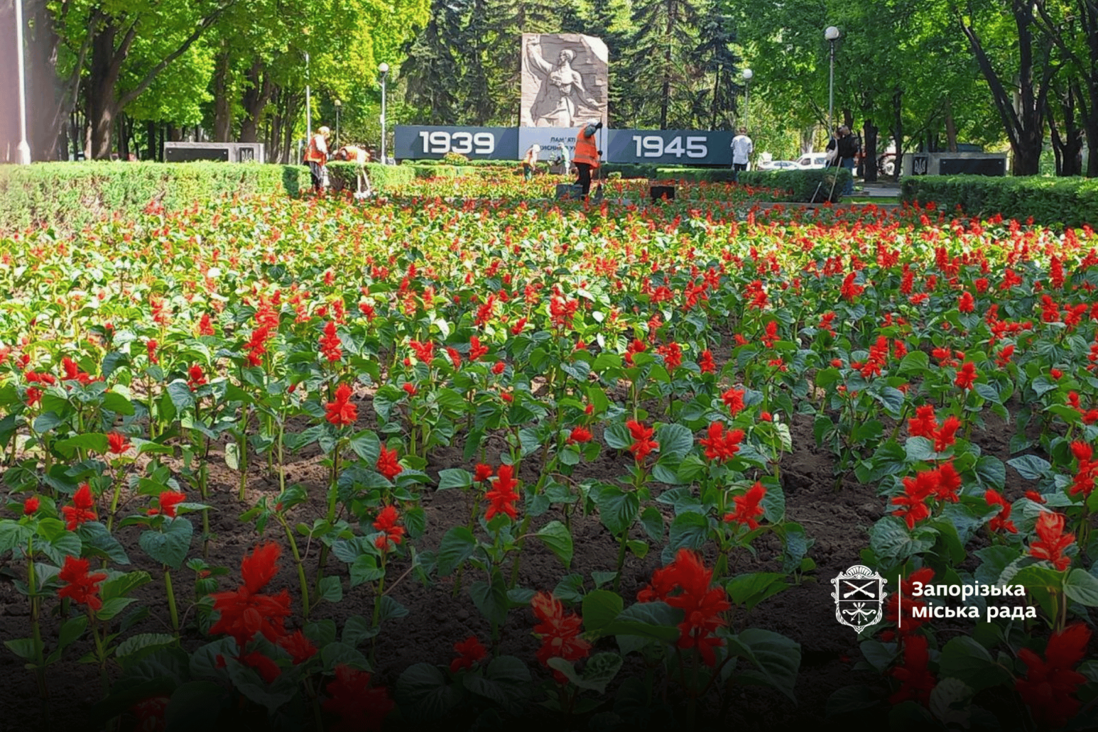 До Дня пам’яті на Алеї бойової слави «розквітнув» мак