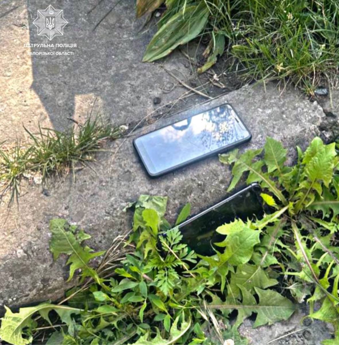 Увірвались до будинку, побили та вкрали телефони: у Запоріжжі затримали чоловіків причетних до розбійного нападу