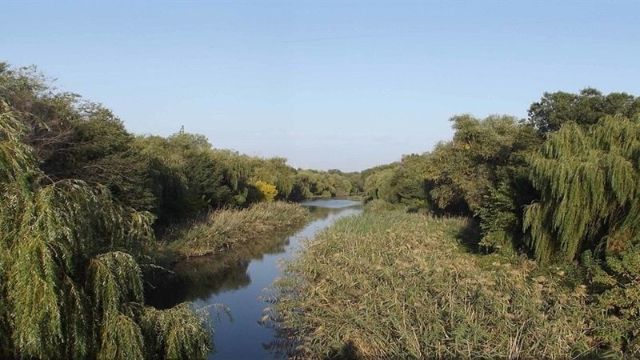 Якість води погіршується: у Запоріжжі досліджували стан малих річок