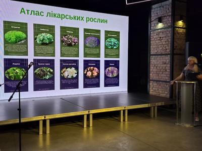 Екосад,  клумба,  міні-метеостанція: у Запоріжжі освітяни презентували кращі проєкти для зеленого відновлення міста
