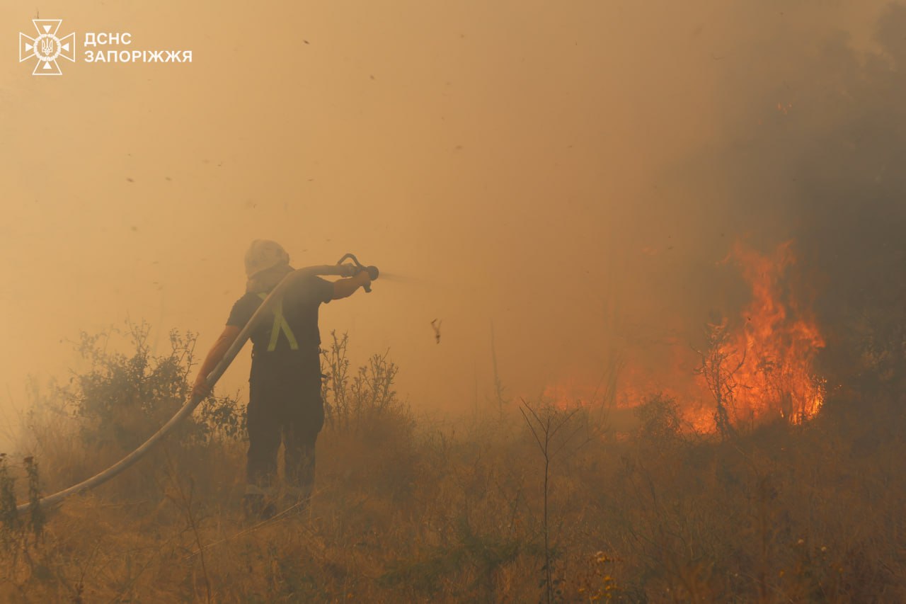 На запорізькій Хортиці сталася масштабна пожежа