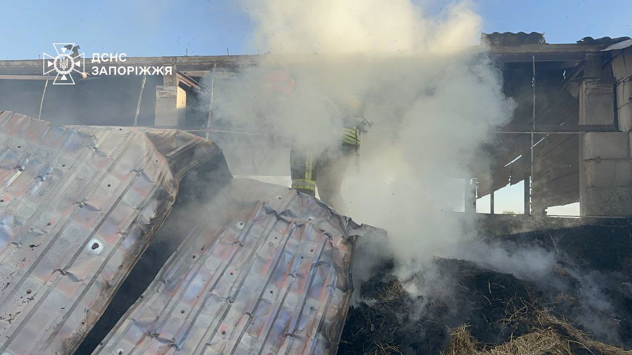 В Запорізькій області сталася масштабна пожежа в кінному клубі: подробиці