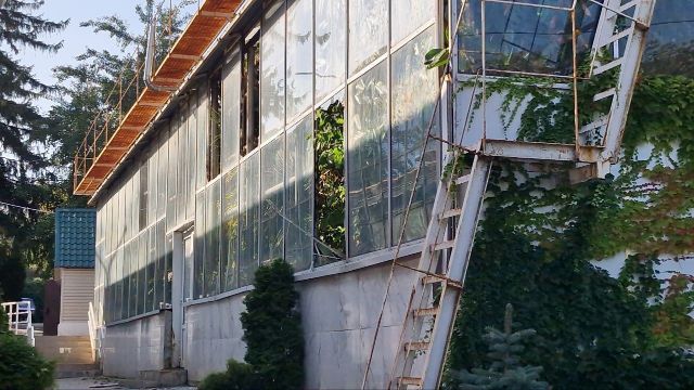 Поламало дерева та повибивало вікна: у Запоріжжі приліт ворожої балістики завдав великої шкоди ботанічному саду