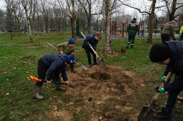 Простір пам’яті, вдячності та поваги: у запорізькому знаковому парку висадили  116 дерев