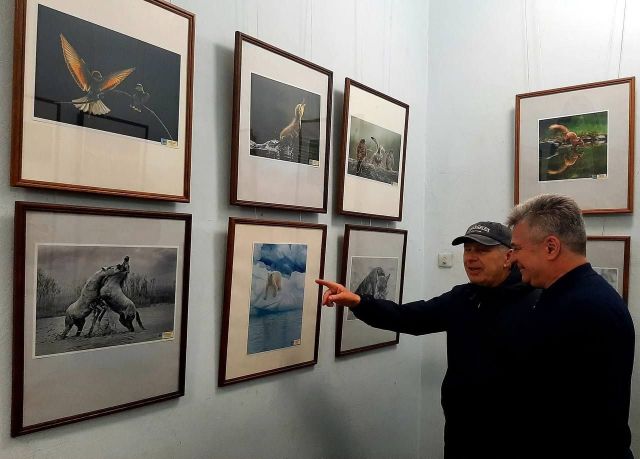 Виставка переможців: у запорізькому фотоклубі можна подивитися на дуже цікаві світлини