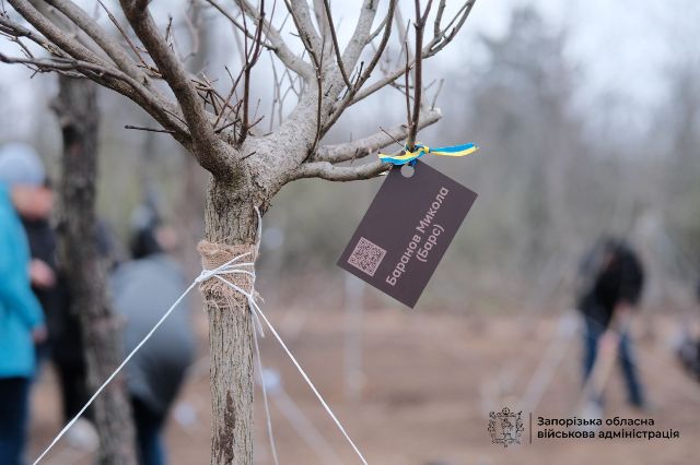 Кожне дерево – з іменем: у запорізькому Парку Честі висадили ще 95 дерев в пам'ять про загиблих героїв