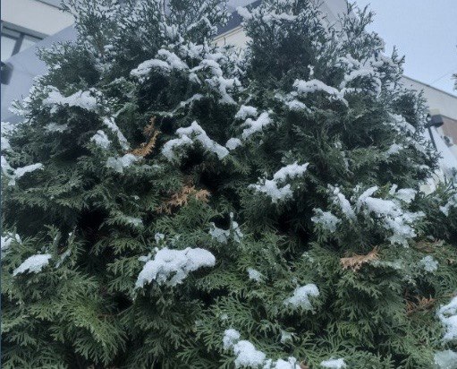 Очікуються перші морози: запорізькі синоптики спрогнозували погоду на найближчі дні