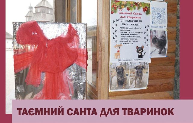 "Таємний Санта для тваринок": йдучи на Хортицю, візьміть з собою корм