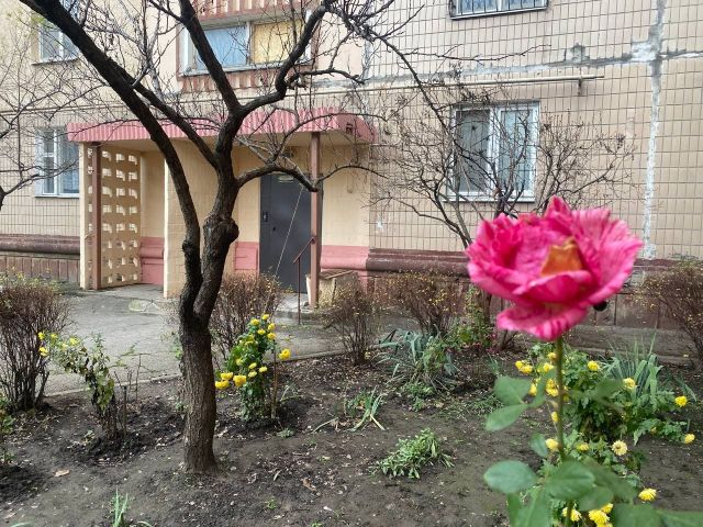 Морози  повернуться: запорізькі синоптики спрогнозували погоду найближчих днів