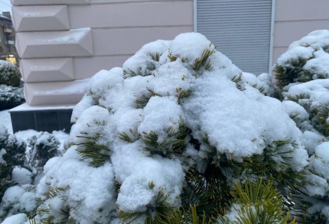 Будуть морозними та сніжними: запорізькі синоптики спрогнозували погоду на Новий рік
