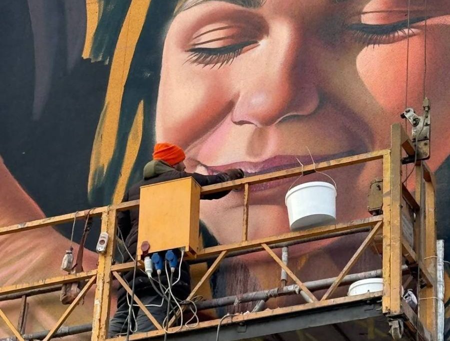 Символізує турботу, тепло і любов:  на будівлі запорізького університету з'явився хвилюючий мурал