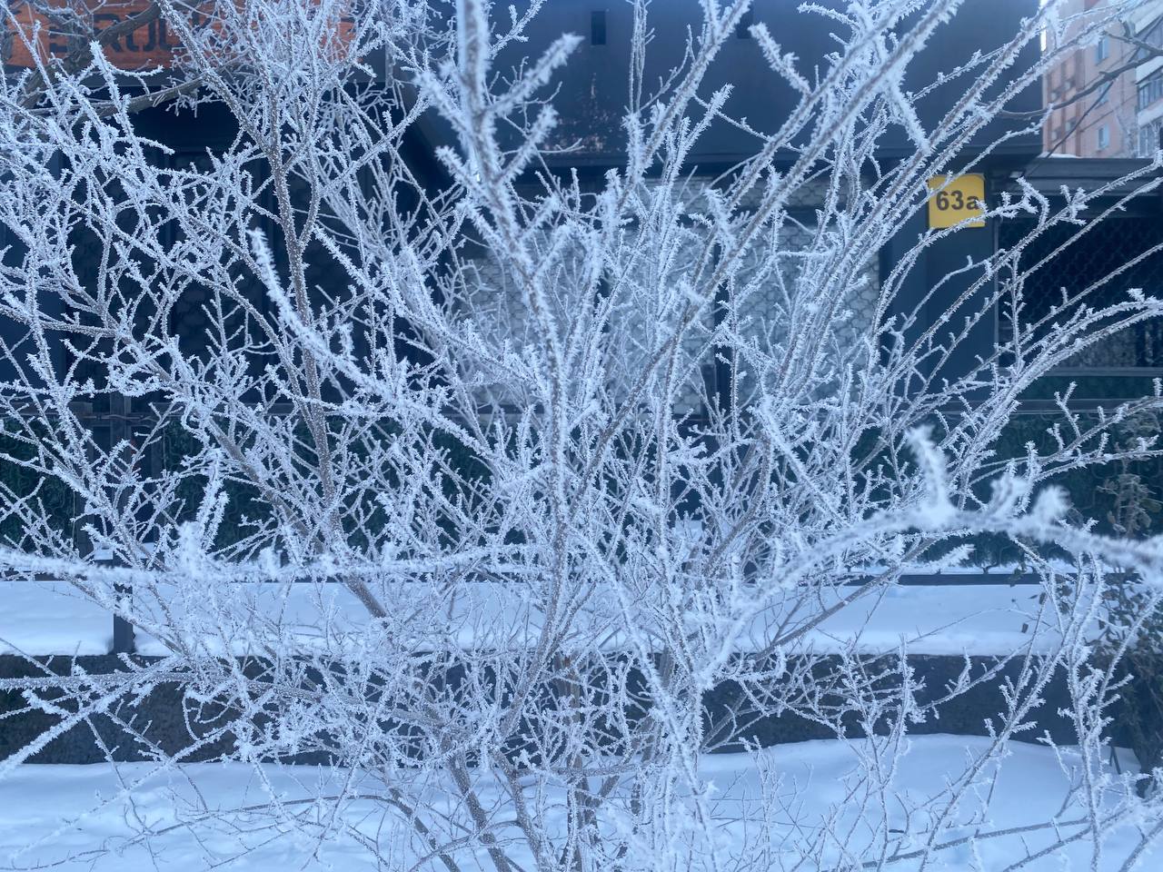 Морози повертаються:  після нетривалого періоду потепління  у Запорізькій області знову буде холодно