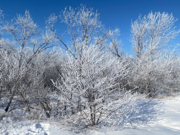 "Тепло з Атлантики вже в дорозі":  запорізькі синоптики спрогнозували погоду до кінця січня