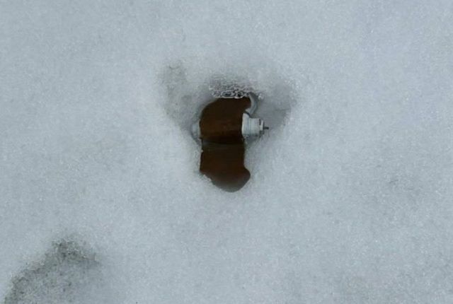 Підірвався на боєприпасі: мешканця Преображенки госпіталізували