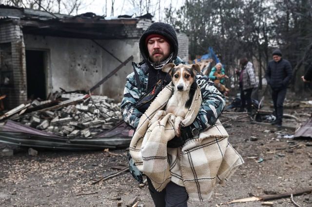 Загиблі собаки, травмована працівниця: ворог атакував притулок для тварин «Дай лапу, друже»