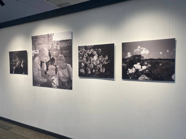 «PLUS PLUS. Подвійна експозиція»:  у Запоріжжі відкрили виставку незвичайних світлин