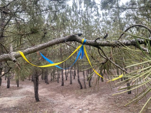 Відчуватиметься наближення весни: запорізькі синоптики спрогнозували погоду найближчих днів