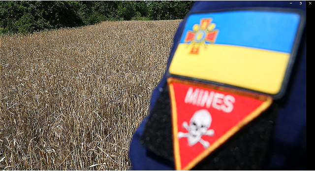 Весна і війна: важкий хліб 2026-го