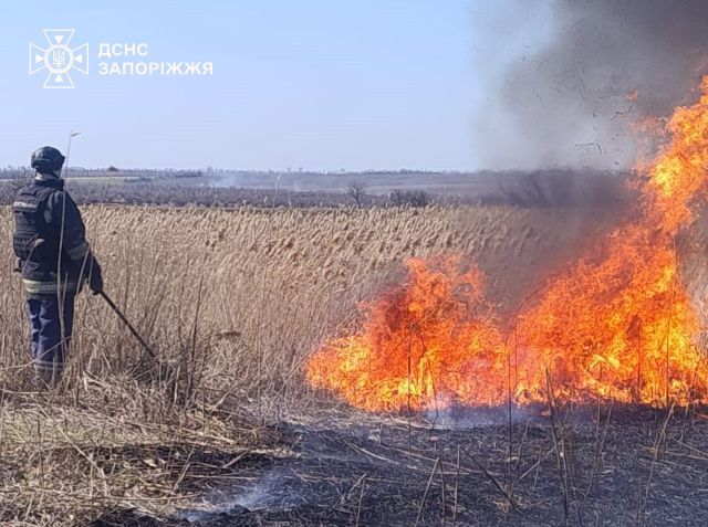 Вогонь руйнує екосистеми: у Запорізькій області почався пожежонебезпечний період