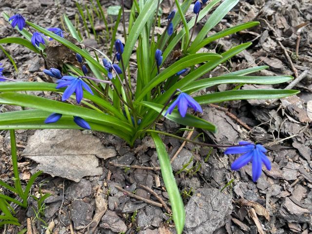 Місцями невеликі дощі: запорізькі синоптики спрогнозували погоду найближчих днів