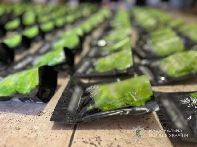 Під виглядом чаю матча: у Запоріжжі вилучили понад 1100 кг кратому