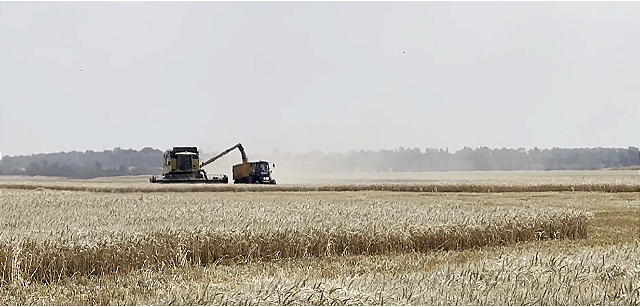 “Кількість фермерів зменшилась”: яка ситуація в аграрній сфері Запорізької області&nbsp;