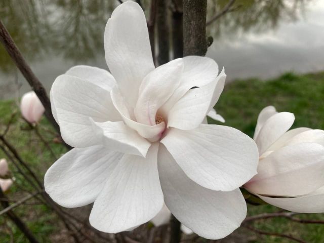 Погода буде різноманітною: у Запоріжжі на вихідних очікують циклон і антициклон