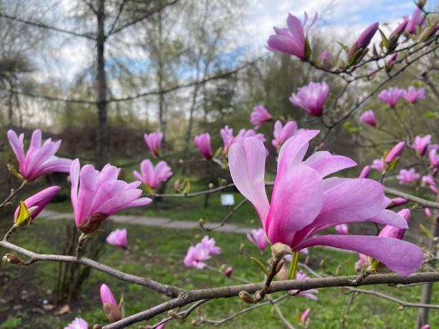Вночі сильні заморозки: запорізькі синоптики спрогнозували погоду на найближчі дні