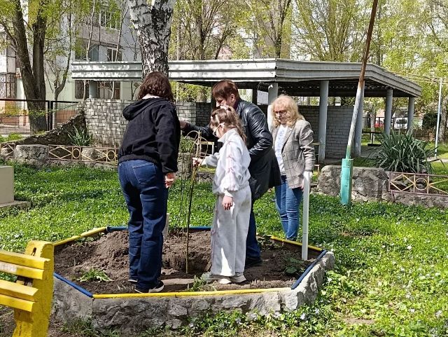 На честь колишнього вихованця: у запорізькому дитсадку висадили вербу у памʼять про загиблого захисника