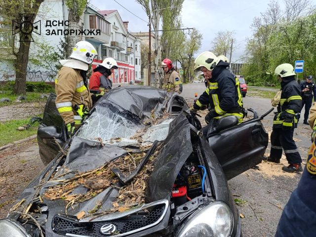 Дерево впало на автомобіль: внаслідок негоди у Запоріжжі загинув чоловік
