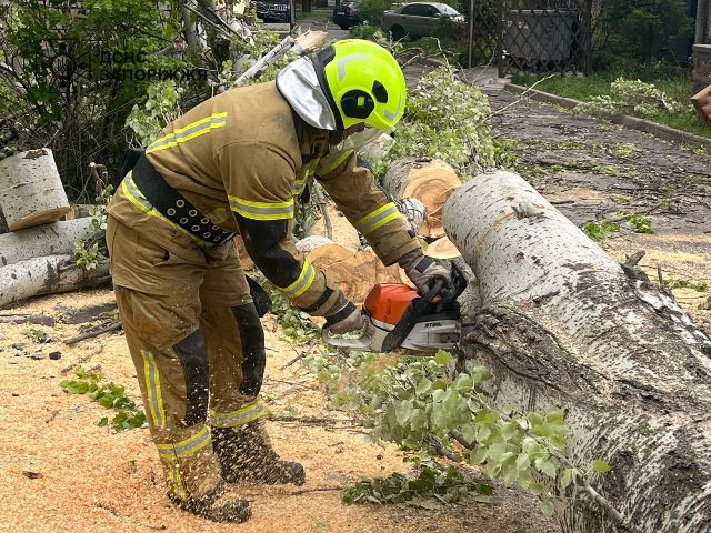 Негода накоїла лиха: під час стихії загинув 39-річний водій авто, повалені десятки дерев