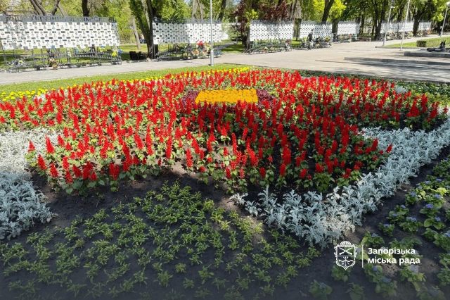 Мак на тлі прапора України: у Запоріжжі з’явилася тематична велика клумба