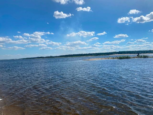 Можуть бути причиною кишкових інфекцій: у запорізькій воді виявили холерні вібріони