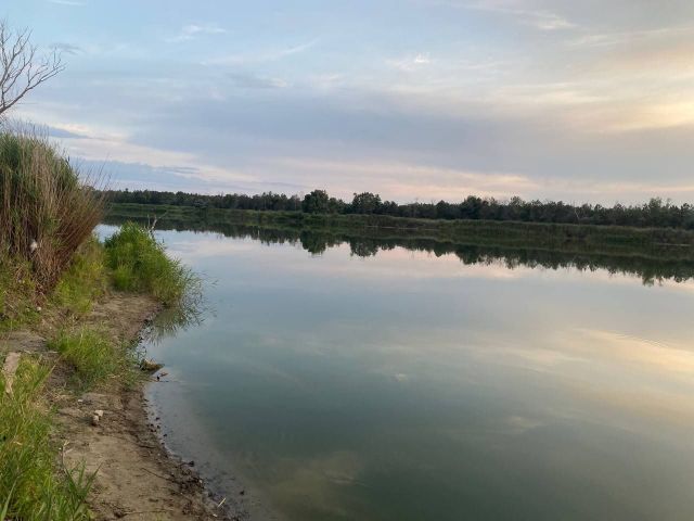 Не означає реєстрацію холери: стан запорізької води вимагає посиленого контролю