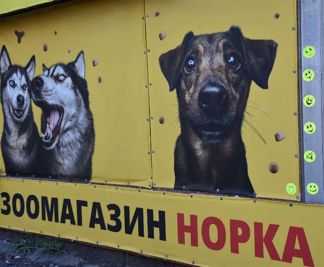 "Норка” з талісманами: мешканка Оріхова в обласному центрі пройшла шлях від працівниці зоомагазину до його власниці